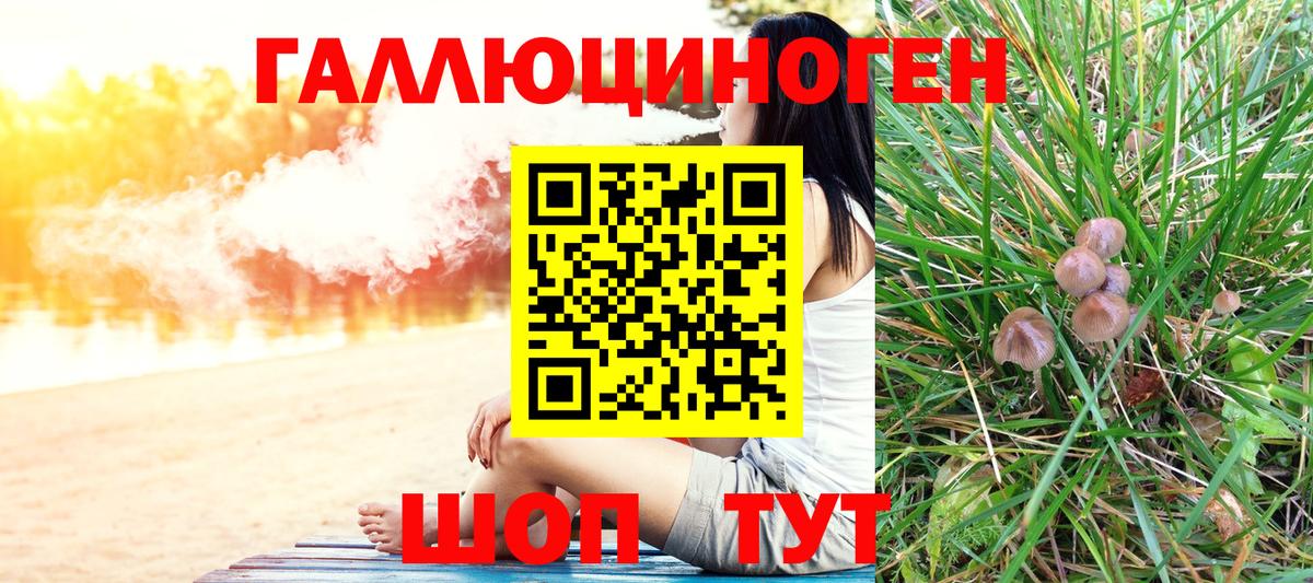 Псилоцибиновые грибы Psilocybe  где найти наркотики  Лесной  Вход с VPN  Галлюциногенные грибы Psilocybine cubensis 