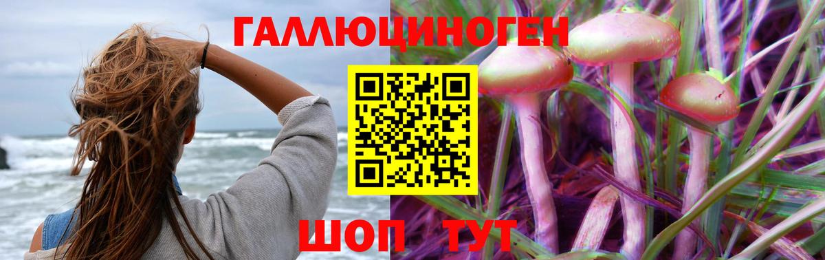 Псилоцибиновые грибы Magic Shrooms Лесной